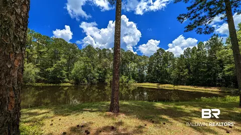 3277 Barlow Rd, Millry, AL 36558 photo 30
