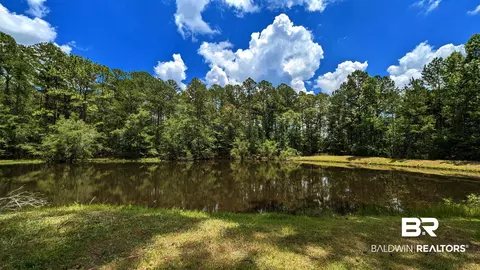 3277 Barlow Rd, Millry, AL 36558 photo 29