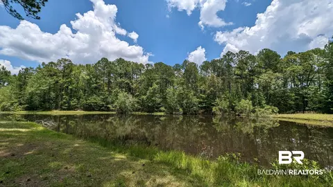 3277 Barlow Rd, Millry, AL 36558 photo 2