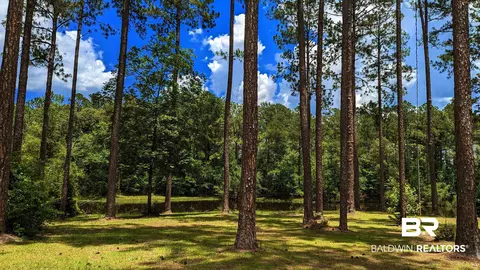 3277 Barlow Rd, Millry, AL 36558 photo 48