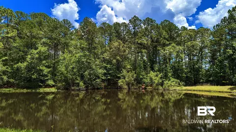 3277 Barlow Rd, Millry, AL 36558 photo 27