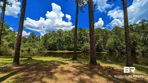 3277 Barlow Rd, Millry, AL 36558 photo 31