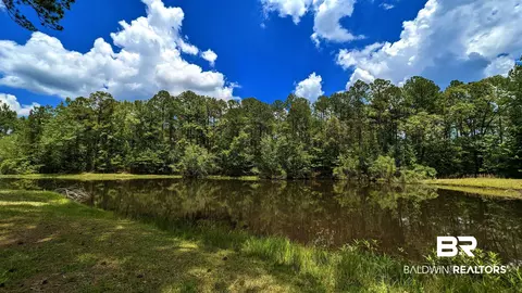 3277 Barlow Rd, Millry, AL 36558 photo 28
