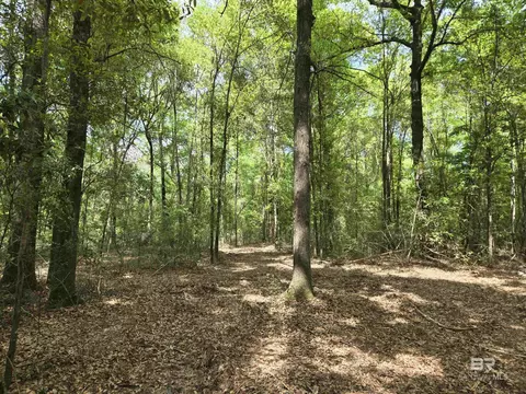 1131 Wolf Log Rd, Flomaton, AL 36441