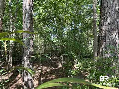 0 Royal River Dr, Coden, AL 36523