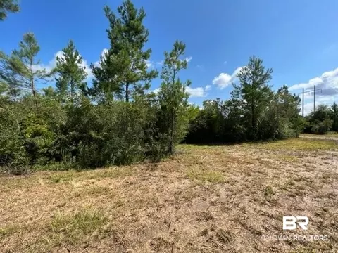 6899 Wolf Log Rd, Flomaton, AL 36441 photo 3