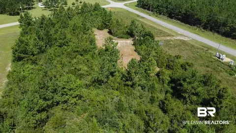 6899 Wolf Log Rd, Flomaton, AL 36441 photo 11