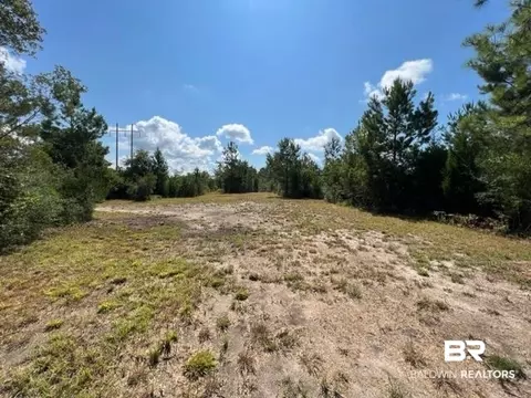 6899 Wolf Log Rd, Flomaton, AL 36441 photo 8