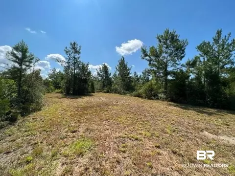 6899 Wolf Log Rd, Flomaton, AL 36441 photo 5