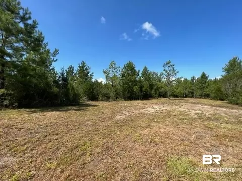 6899 Wolf Log Rd, Flomaton, AL 36441