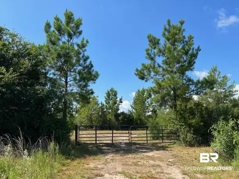 6899 Wolf Log Rd, Flomaton, AL 36441 photo 2