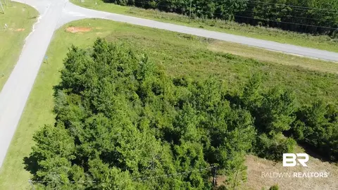 6899 Wolf Log Rd, Flomaton, AL 36441 photo 9
