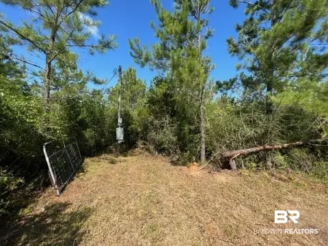 6899 Wolf Log Rd, Flomaton, AL 36441 photo 4