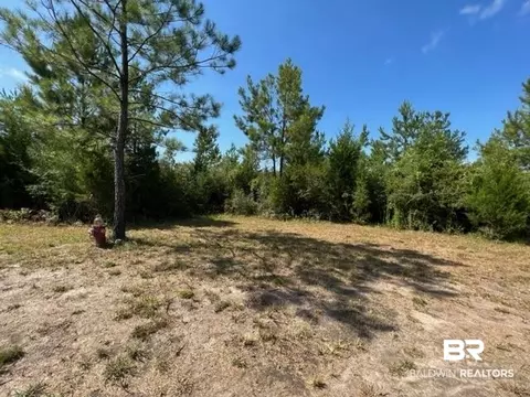 6899 Wolf Log Rd, Flomaton, AL 36441 photo 7