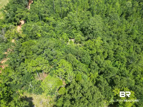 7961 Jakes Rd, Walnut Hill, FL 32568