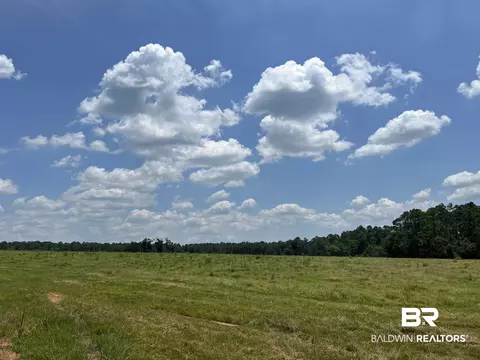 Undisclosed, Robertsdale, AL 36567