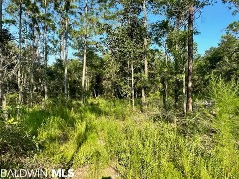 30951 Pine St, Elberta, AL 36530 photo 4