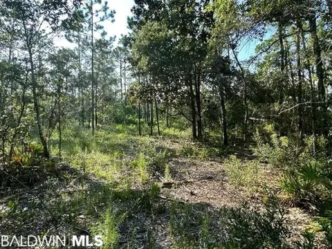 30951 Pine St, Elberta, AL 36530 photo 9