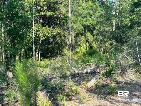 30951 Pine St, Elberta, AL 36530 photo 6