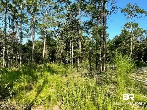 30951 Pine St, Elberta, AL 36530 photo 3