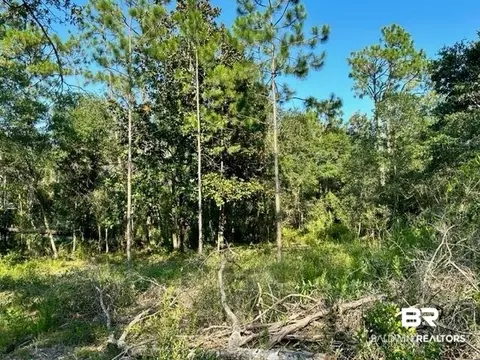 30951 Pine St, Elberta, AL 36530 photo 5