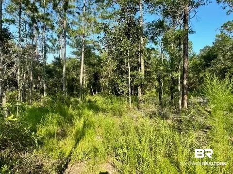 30951 Pine St, Elberta, AL 36530 photo 4