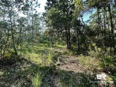 30951 Pine St, Elberta, AL 36530 photo 9