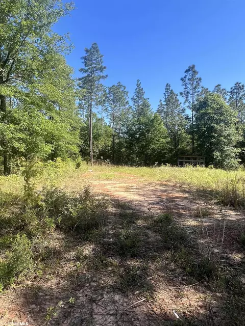 0 E Chunchula Highlands Rd E, Chunchula, AL 36521 photo 17