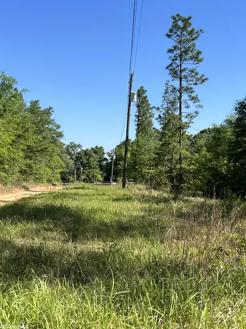 0 E Chunchula Highlands Rd E, Chunchula, AL 36521 photo 18