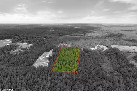 0 E Chunchula Highlands Rd E, Chunchula, AL 36521 photo 10