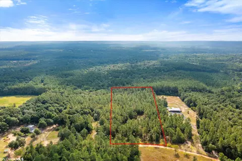 0 E Chunchula Highlands Rd E, Chunchula, AL 36521 photo 5