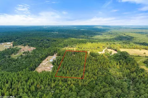 0 E Chunchula Highlands Rd E, Chunchula, AL 36521 photo 11