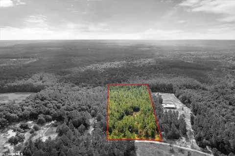 0 E Chunchula Highlands Rd E, Chunchula, AL 36521 photo 4