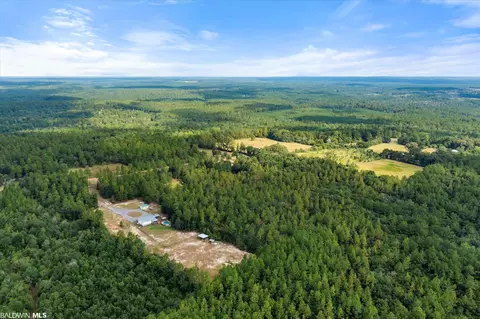 0 E Chunchula Highlands Rd E, Chunchula, AL 36521 photo 15