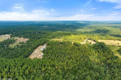 0 E Chunchula Highlands Rd E, Chunchula, AL 36521 photo 12