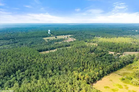 0 E Chunchula Highlands Rd E, Chunchula, AL 36521 photo 9