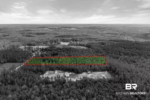 0 E Chunchula Highlands Rd E, Chunchula, AL 36521 photo 16