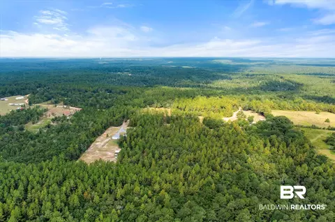 0 E Chunchula Highlands Rd E, Chunchula, AL 36521 photo 12