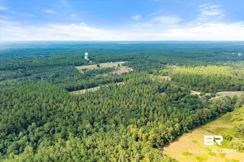 0 E Chunchula Highlands Rd E, Chunchula, AL 36521 photo 9