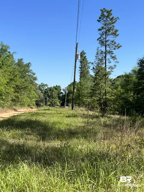 0 E Chunchula Highlands Rd E, Chunchula, AL 36521 photo 18