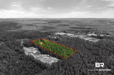 0 E Chunchula Highlands Rd E, Chunchula, AL 36521 photo 13