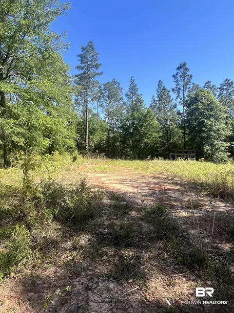 0 E Chunchula Highlands Rd E, Chunchula, AL 36521 photo 17