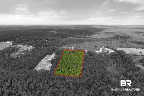 0 E Chunchula Highlands Rd E, Chunchula, AL 36521 photo 10