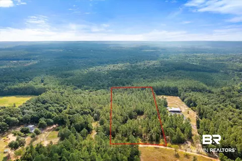 0 E Chunchula Highlands Rd E, Chunchula, AL 36521 photo 5