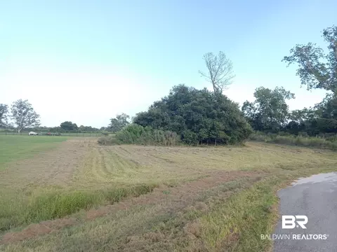 lot12 Gopher Ct, Elberta, AL 36530 photo 2