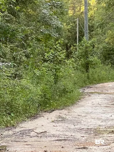 8550 Boyd Ln, Satsuma, AL 36572