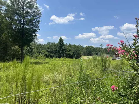 0 Beverly Jefferies Hwy, Citronelle, AL 36522