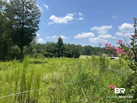 0 Beverly Jefferies Hwy, Citronelle, AL 36522
