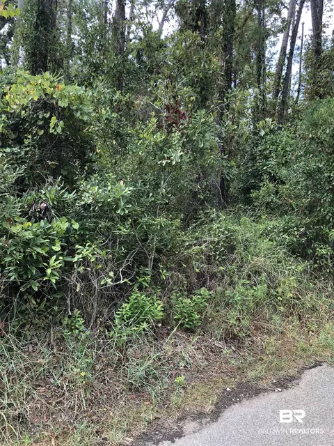 805 Bienville Blvd, Dauphin Island, AL 36528