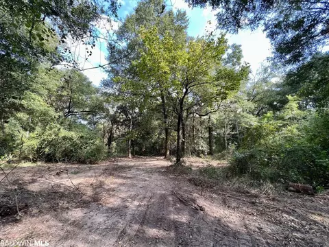 0 Bear Fork Rd, Mobile, AL 36618 photo 3